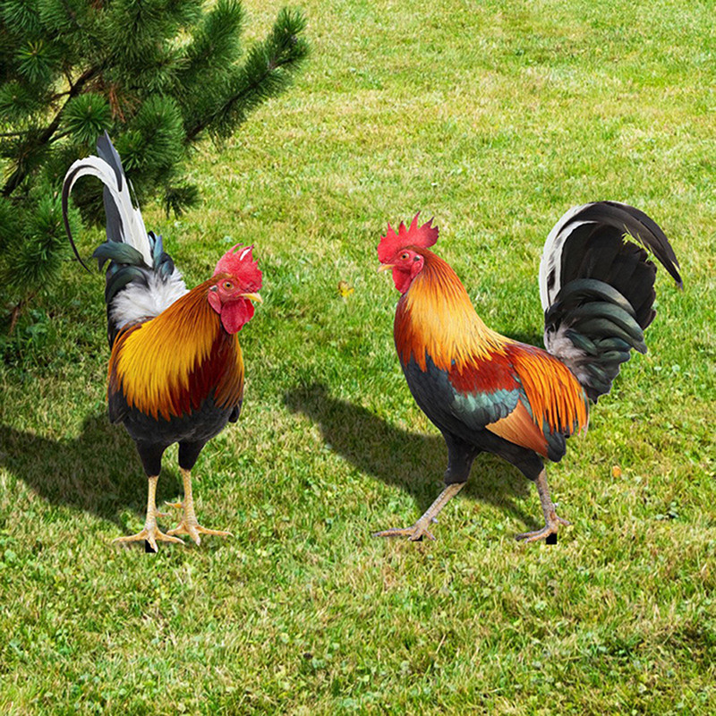 

Garden Rooster Statue Chicken Sculpture For Yard Decor Weatherproof Hen Figurine For Patio Backyard Home Outdoor Decoration