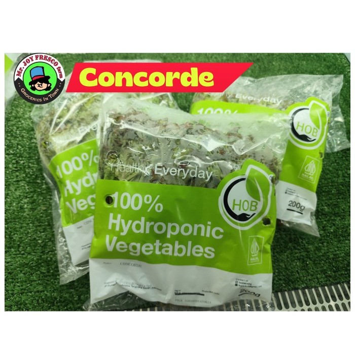 

Sayur Concorde Selada Hidroponik Organik Segar 100% Organic Hydroponic Vegetables 200 gram TangSel