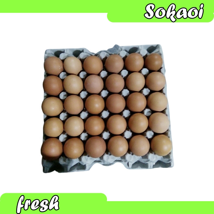 

TELUR AYAM NEGERI 1 KRAT ISI 30