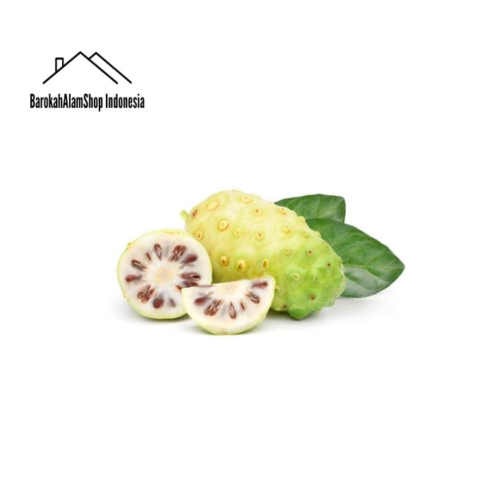 

Buah Mengkudu Segar 1 Kg Pace Noni Anti Kanker