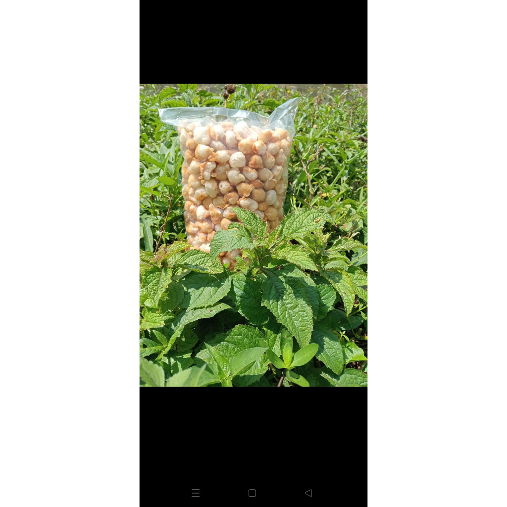 

SIOMAY MINI KERING ORIGINAL GURIH DAN RENYAH