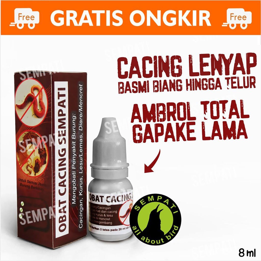 SEMPATI OBAT CACING SEMPATI MENGOBATI BURUNG SAKIT CACING KURUS LESU UNTUK MURAI KACER LOVEBIRD ANIS