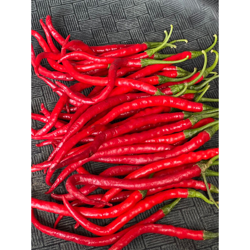 

Paket CABE KRITING 1kg jenis IMPERIAL MAX CO 1 kg wajibb baca deskripsi (mebeli berarti setuju dg keadaan apapun