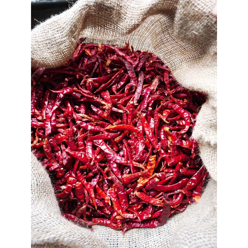 

Paket Cabe Teja Tanpa Tangkai / Cabe Kering Teja (250 gram - 1KG)