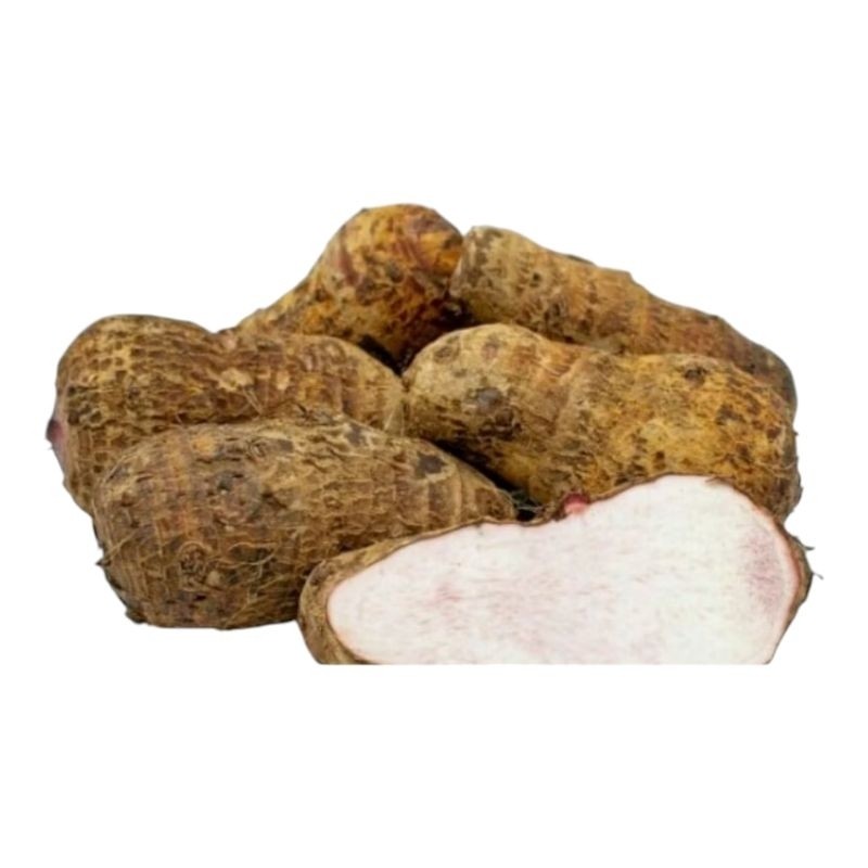 

umbi talas segar 1kg organik