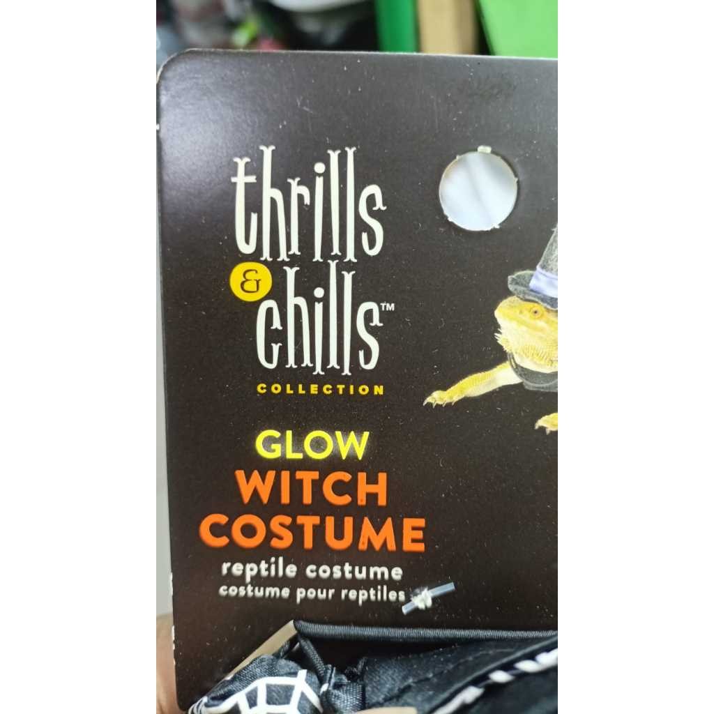 Costume Pet Bearded Dragon | Kostum Kadal Gurun | Thrills & Chills Collection