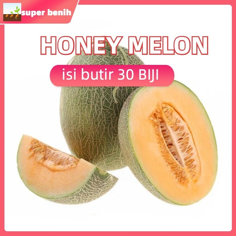 repack fress benih/30Benih Melon Inthanon RZ 5 seeds intanon rijk zwaan Unggul Berkualitas biji bibi