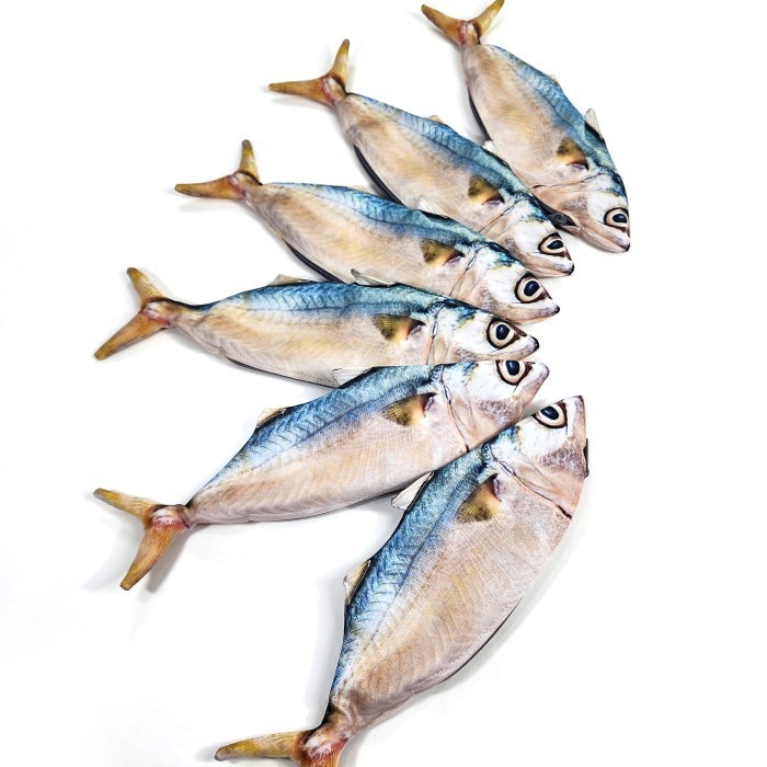 

NEW ! BEST SELLER Tempat Pensil Ikan Kembung Mentah untuk Penggemar Ikan Rastrelliger