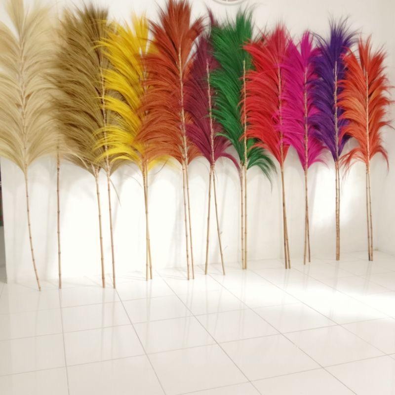 Rayung Natural Dekorasi Bunga Kering Rayung Murah