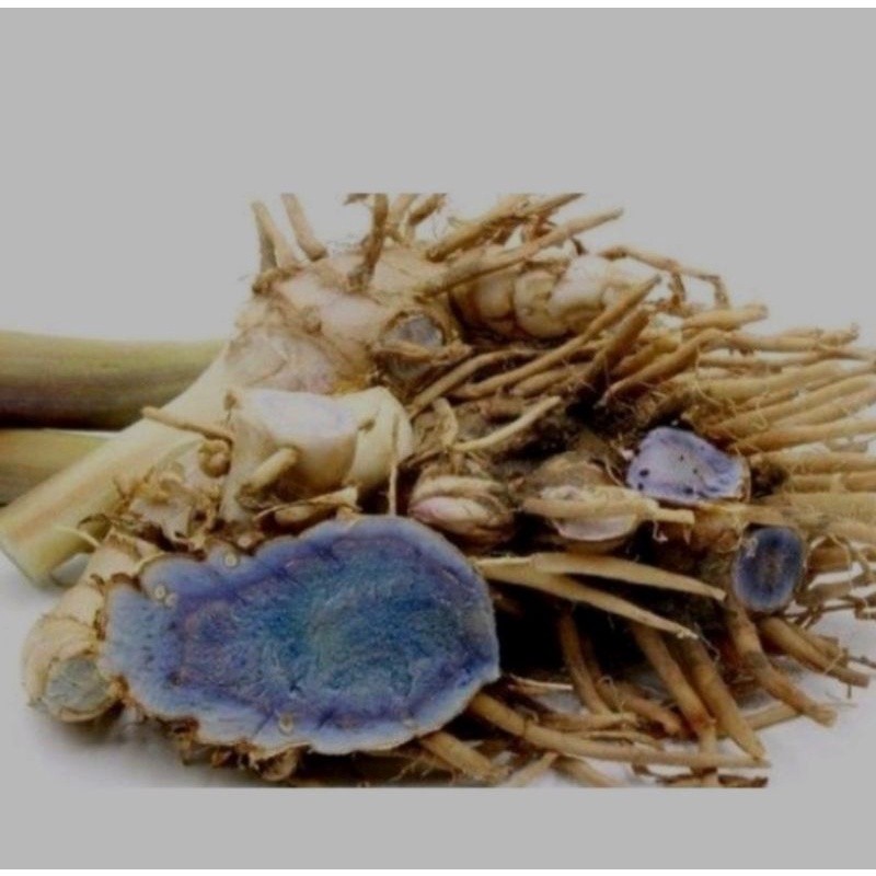 

Temu ireng/kunyit hitam 300gram