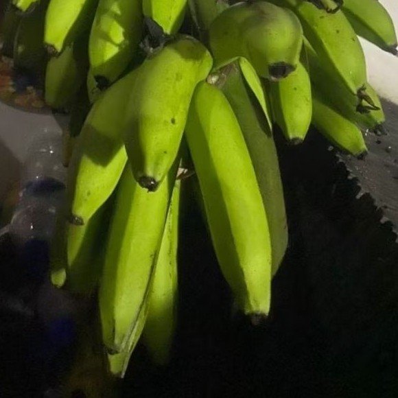 

Buah Pisang Mentah B PAB 100 Gram Pisang Bangkaulu Fresh