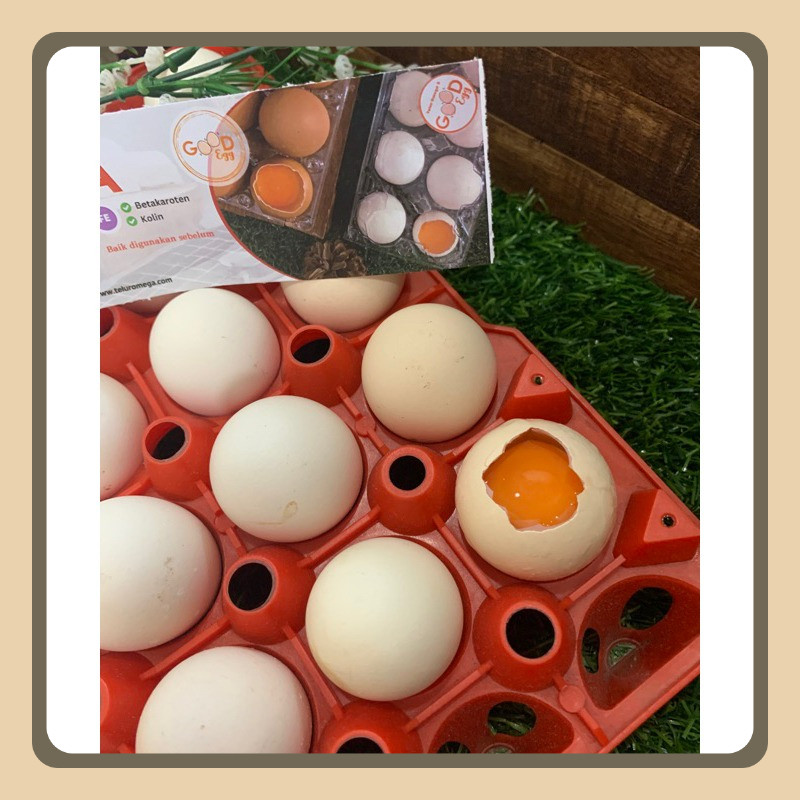 

[30butir] - Telur Ayam Kampung Omega - Goodegg