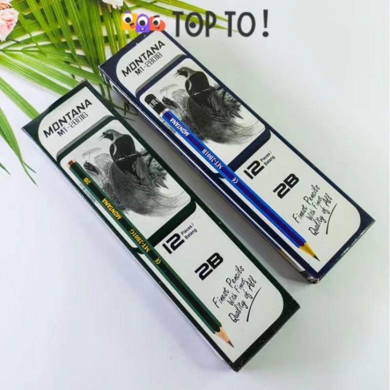 

KlikIniAja (12pcs) Pencil 2B Sekolah Murah / Pensil 2B Biru Hijau