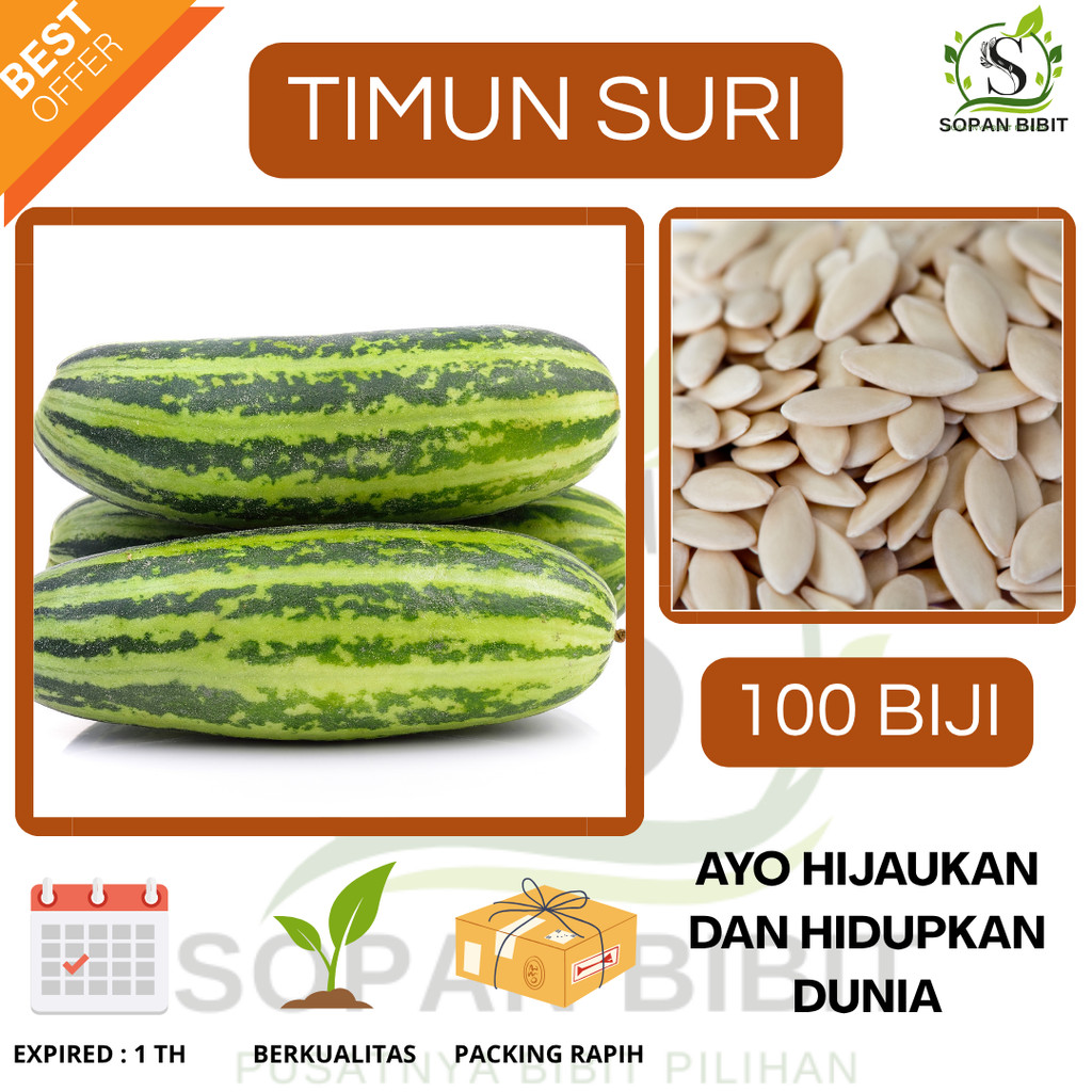 100 Biji Benih Timun Lalap Suri Unggul "Bonus Exstra Pembelian"