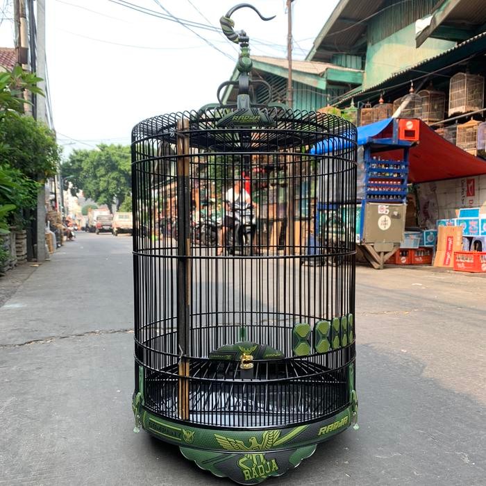 SANGKAR KANDANG MURAI RADJA COMPANY 3D CARBON HIJAU ARMY TERBARU
