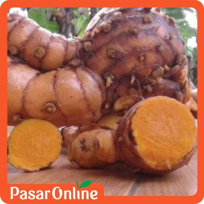 

Temu Lawak / Temulawak / Rempah / Segar - 250 gram