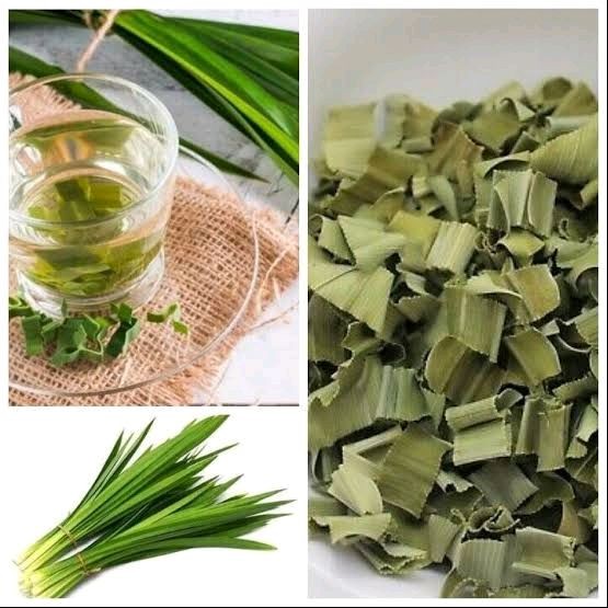 

Daun Pandan Wangi Iris Kering Asli 100g