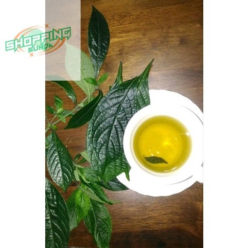 

DAUN KEJI BELING/PECAH BELING SEGAR 500 GRAM BERAT