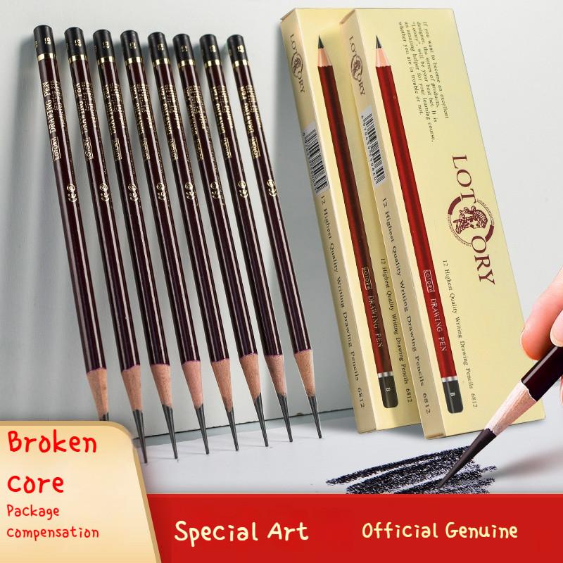 

Professional Drawing Sketching Pencil Set 12 Pcs Art Pencils Drawing Graphite Shading Pencil Set for Beginners & Pro Artists
