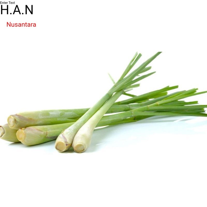 

Serai segar organik 100gram sereh siap petik