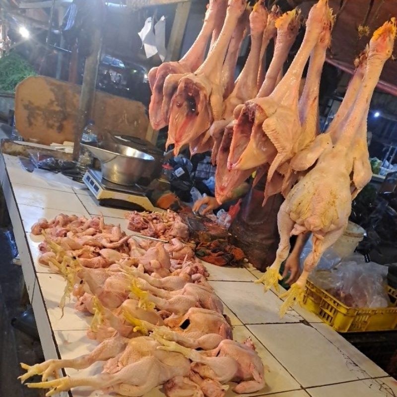 

Daging Ayam boiler fresh Khusus Bandung