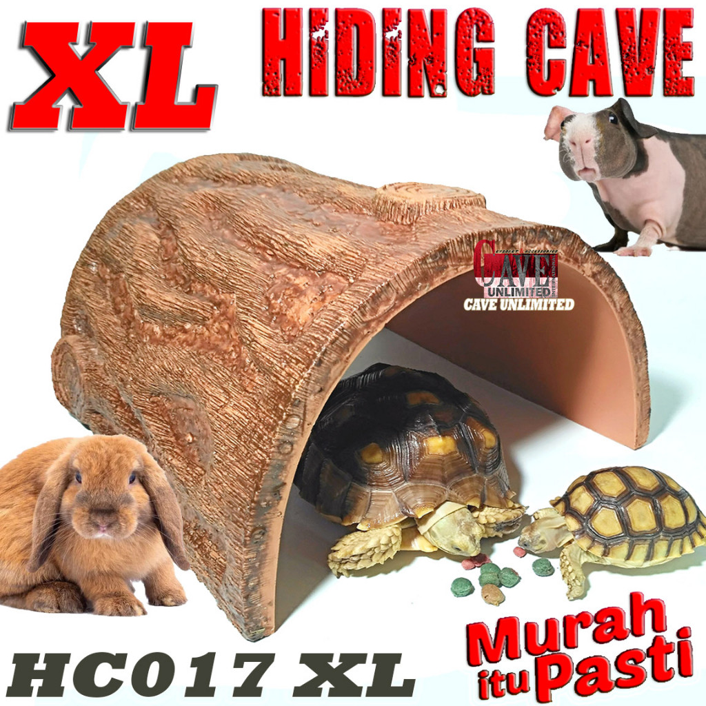 HC017XL HIDDING CAVE BESAR GOA TEMPAT SEMBUNYI REPTILE TURTLE TORTOISE KURA DARAT SULCATA PARDALIS A