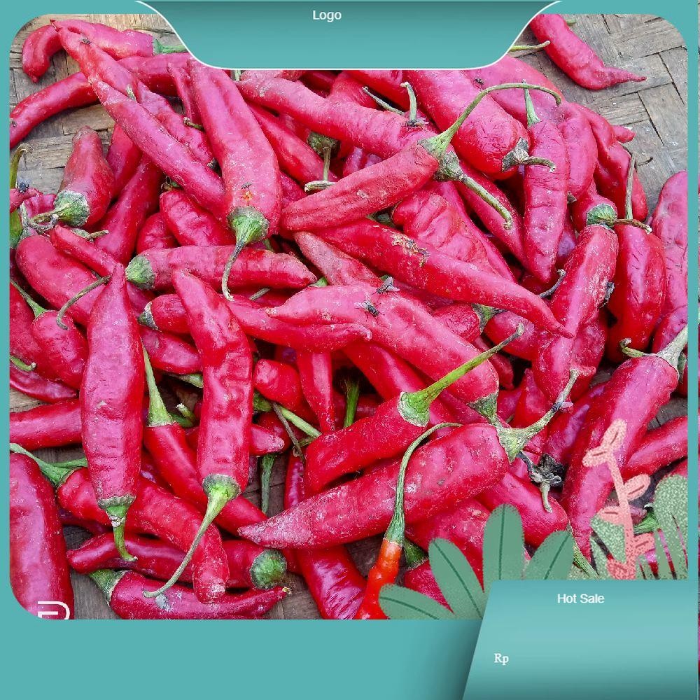 

cabai merah tanjung segar segar merah tanjung Kecombrang