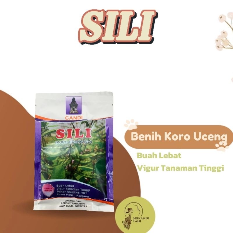 Benih Koro Uceng Ijo 50gr Original - Sili Merambat, Panen 45 Hari