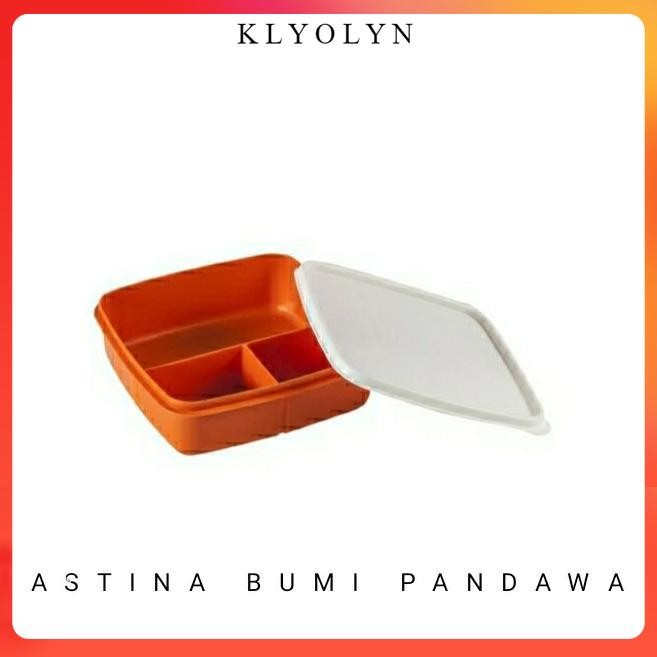lunch box catering kotak makan + sendok