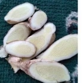 

temu putih segar 1kg