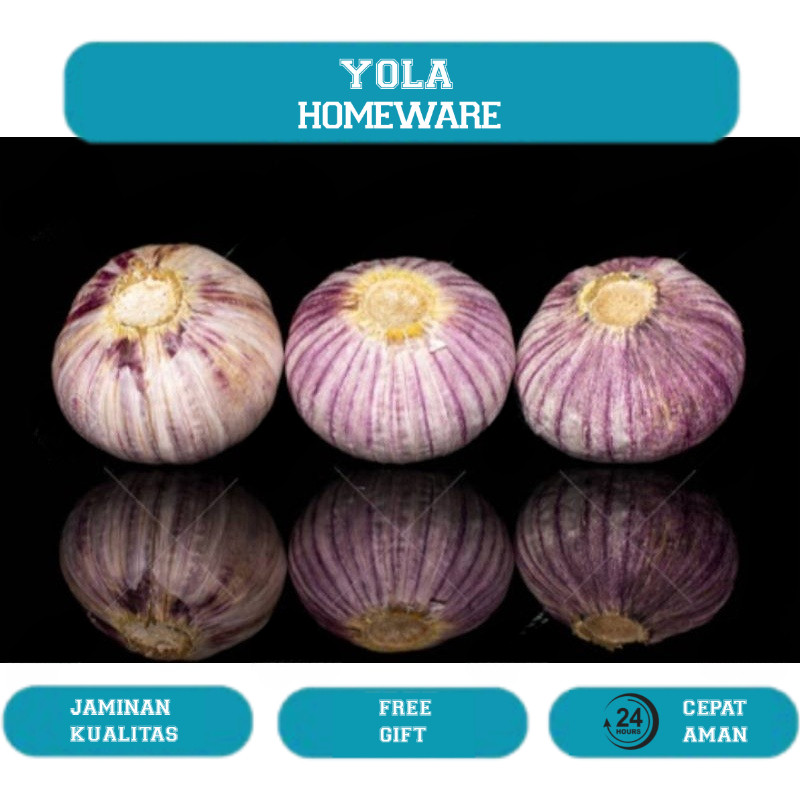 

Bawang Putih Tunggal Bawang Lanang 1kg Import Kualitas SUPER Ukuran Besar