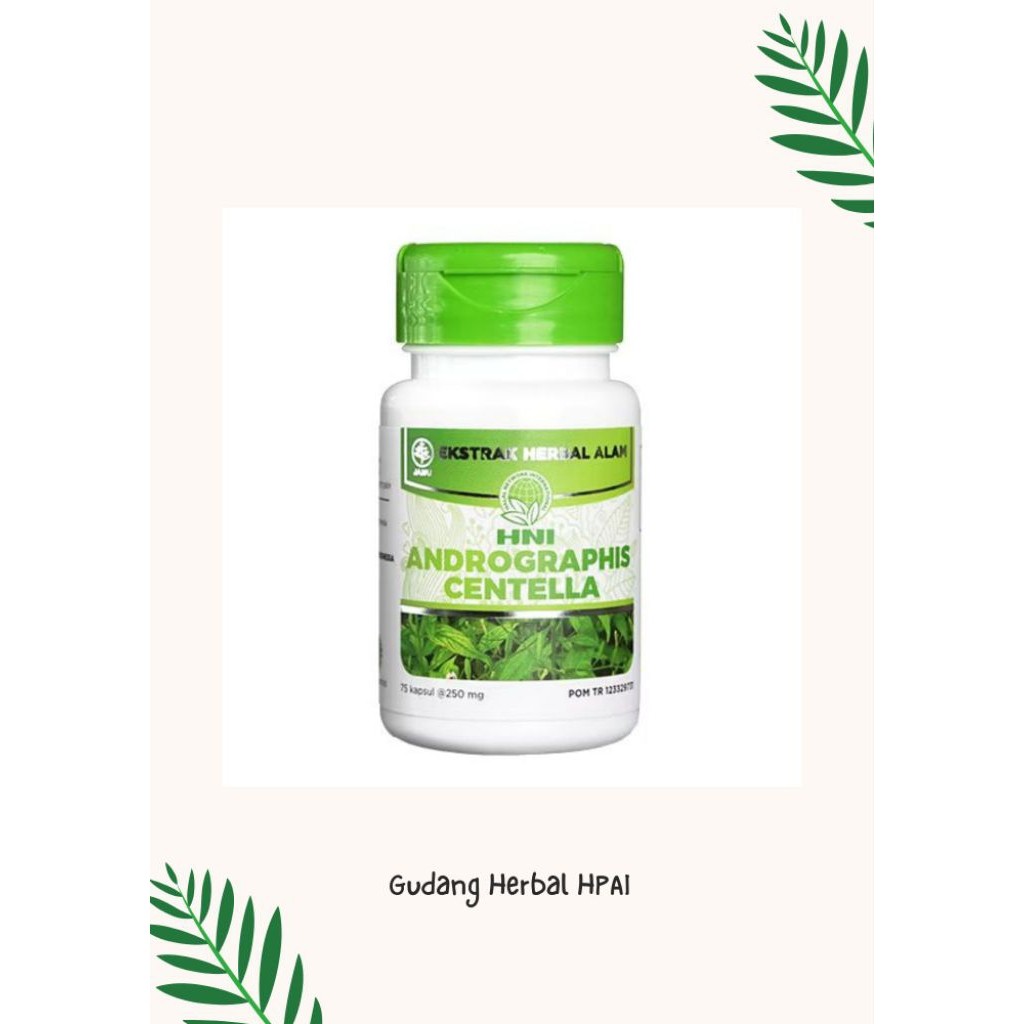 Andrographis centella HNI HPAI herbal radang paru, liver/ hati