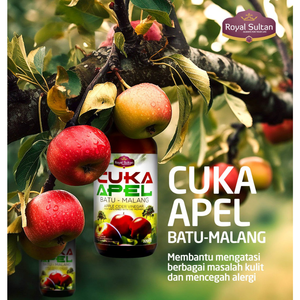

MUMPUNG PROMO! Cuka Apel Batu Malang Royal Sultan 320ml | Apple Cider Vinegar With Mother I ROYAL SULTAN