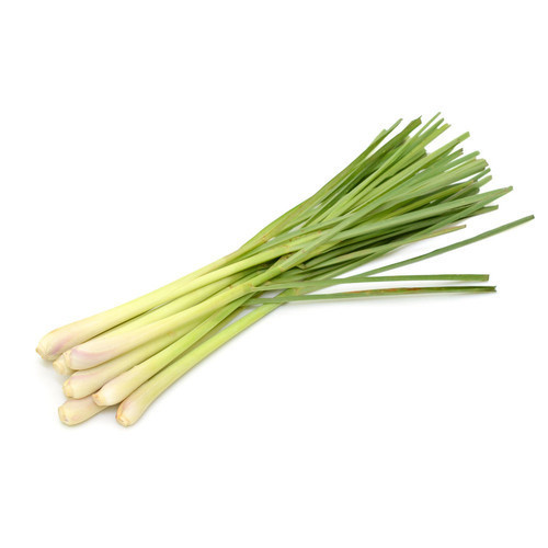 

Sereh/Serai 1 Ikat Segar | Sayur Segar Medan