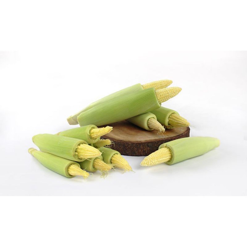 

Jagung Muda / Janten / Per Ikat