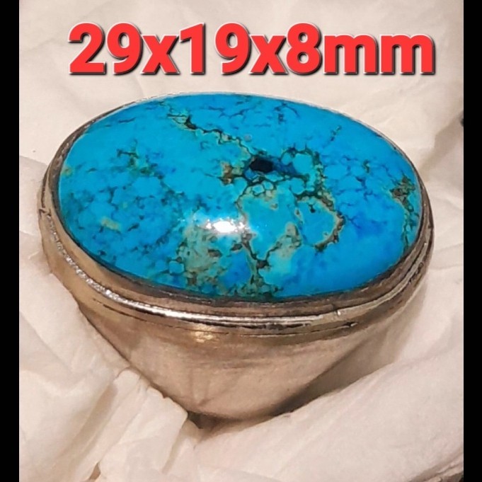 Pirus Hubei gradasi biru urat jala size jumbo