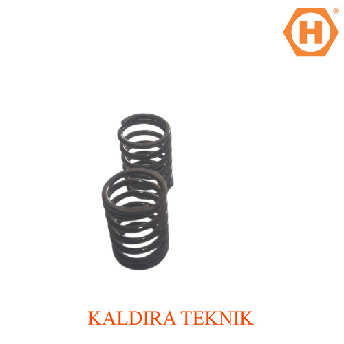 PROMO CUCI GUDANG - VALVE SPRING MESIN DIESEL YANMAR TS50