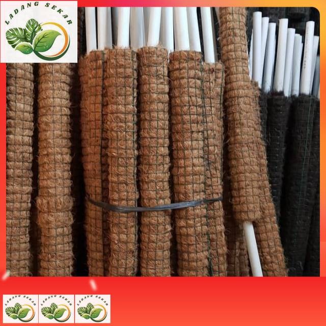 CAGAK / Tongkat / Rambatan |turus peyangga tanaman rambat panjang 60cm