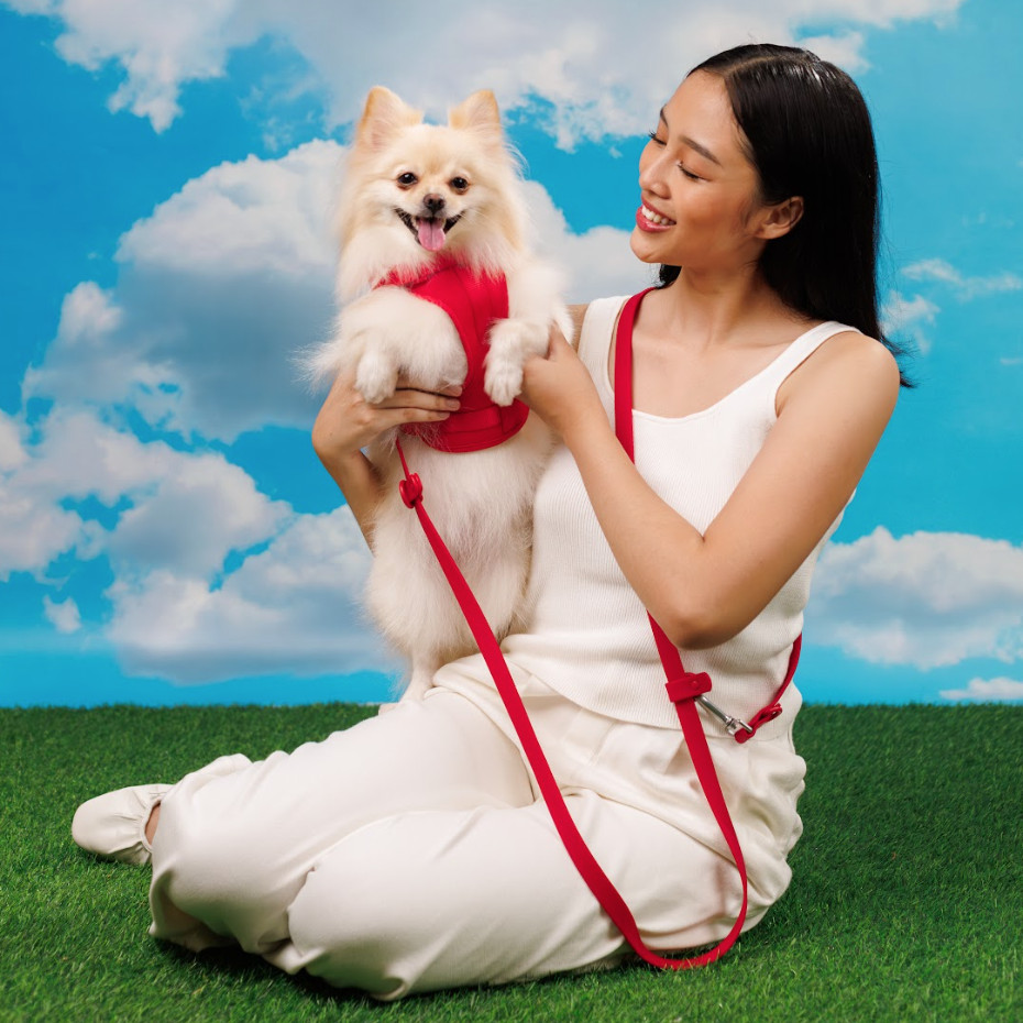 Noir Sur Blanc Pet Leash