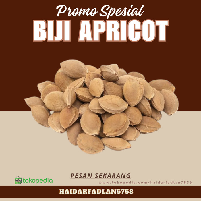 

Biji Aprikot Himalaya / Apricot Organic Himalaya Hunza / Aprikot