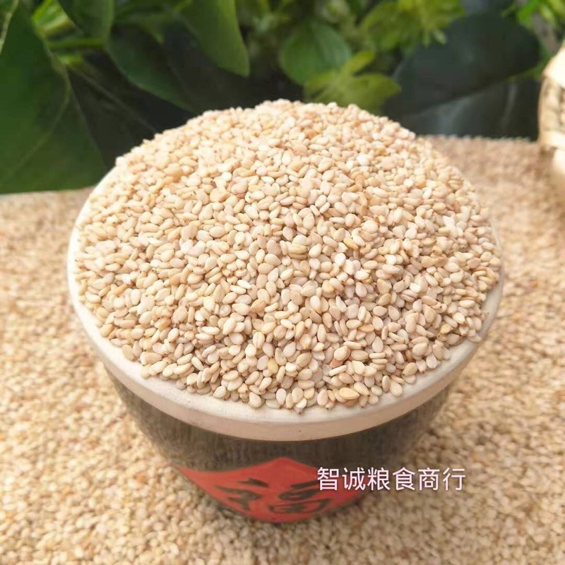 

Wijen Putih / Wijen Putih Premium / White Seseme 1 kg