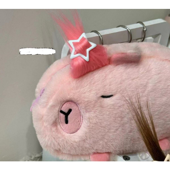 

JAMIN MURAH !!!Tempat Pensil JUMBO BULU CAPYBARA / Kotak Pensil Kapibara Plush Halus Bulu Besar Capybara Pencilcase(BISA LANGSUNG ORDER)