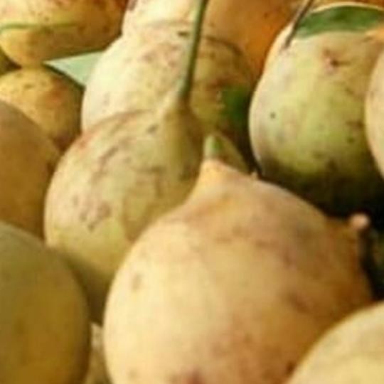 

Buah pala segar