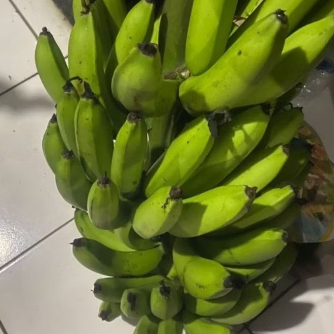 

Buah Pisang Mentah VRG Pisang Bangkaulu Fresh