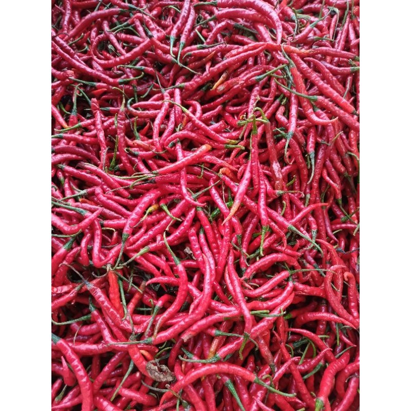 

Paket cabe kriting merah fresh 1 kg,500 gram