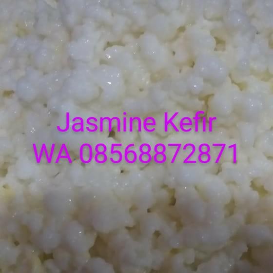 

bibit kefir/grainkefir