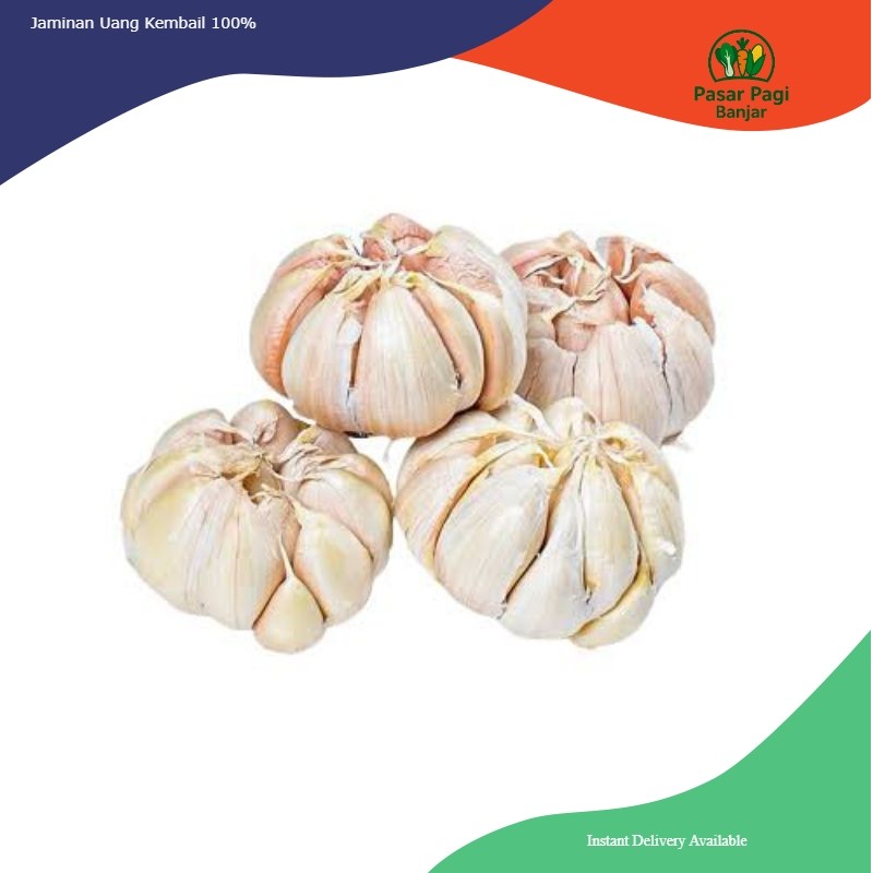 

Bawang Putih / Berat 1 kg 500 gram 250 gram