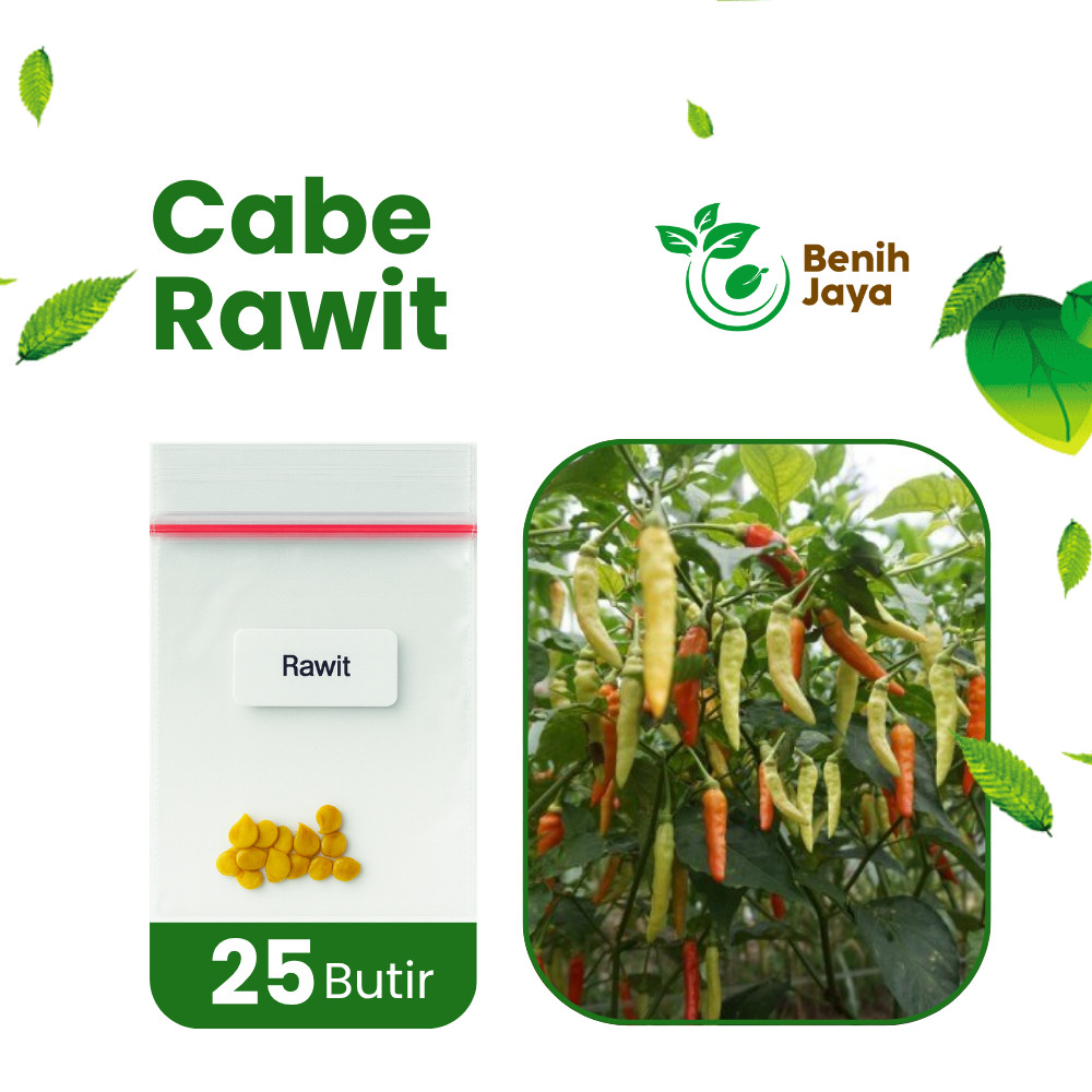 BENIH JAYA - Benih Unggul Cabe Rawit Pedas, Benih Cabe Rawit Super Bibit Cabe Rawit Berkualitas Bibi
