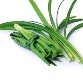 

daun pandan 1ikat COD