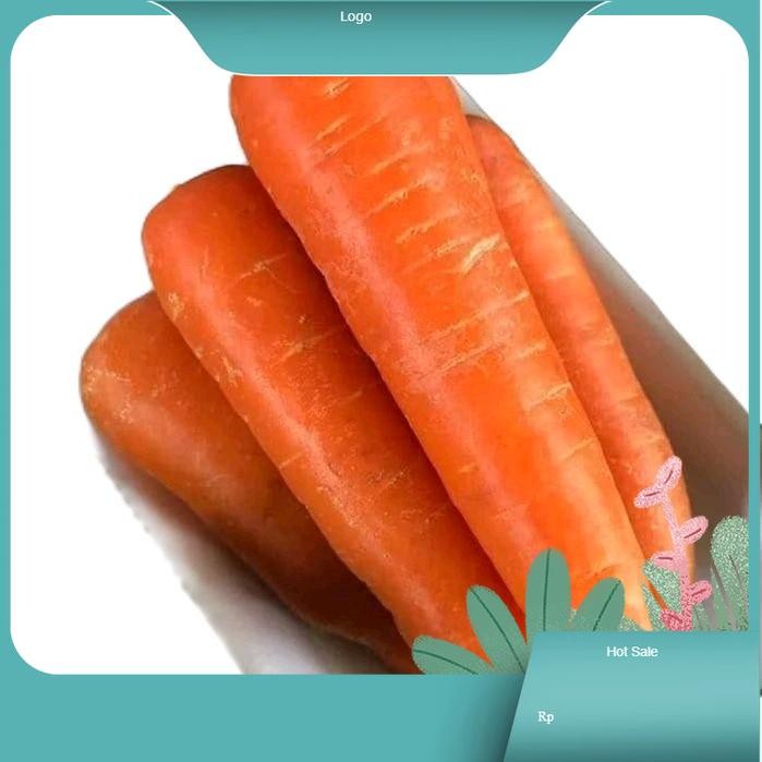 

Wortel Beras Tagi 1 kg Segar dan Menyehatkan Kaya Vitamin A Impor Berkualitas Tinggi Natural